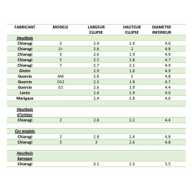staple Baroque oboe 2