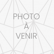 Cañas para oboe barroco