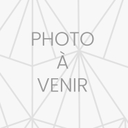 Kleiner Schraubendreher