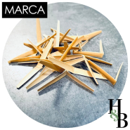 MARCA gouged and shaped cane Oboe