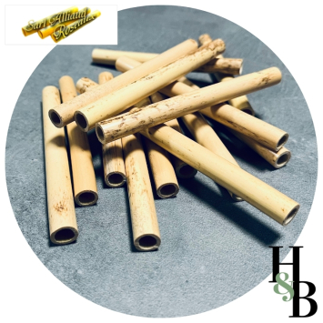 Roseaux hautbois en canon Alliaud