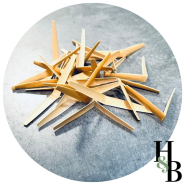 Fasson für Oboe Einsteiger