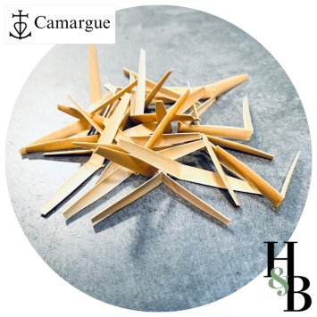 Roseaux gougés taillés pour hautbois CAMARGUE