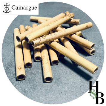 Roseaux pour hautbois en canons, de Camargue.