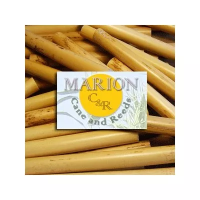 Marion canes